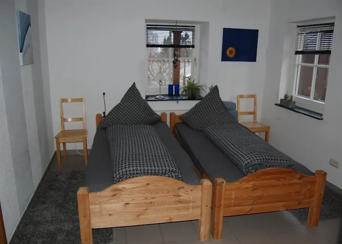 Ginsterblüte * Schleiden